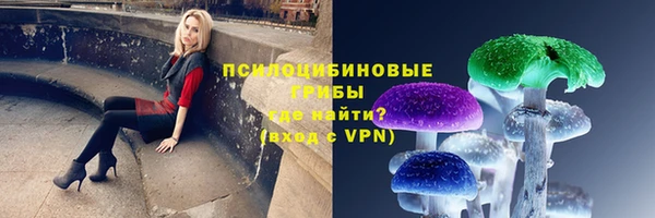 PSILOCYBIN Пересвет
