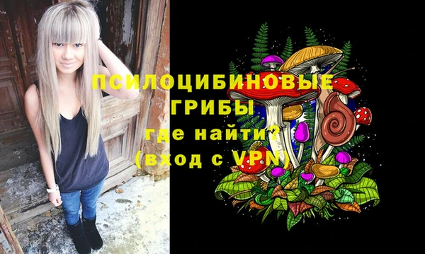 кокс Алексин