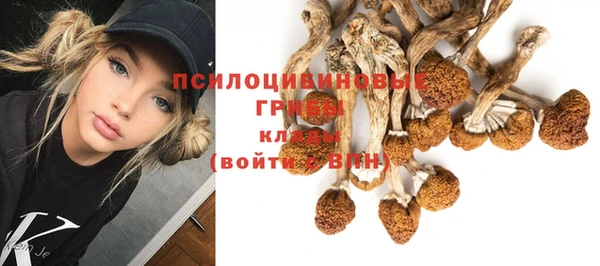 таблы Алзамай