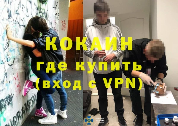 кокс Алексин
